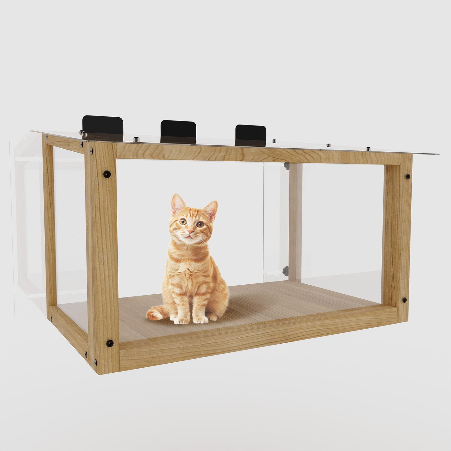 Transparent Acrylic Window Cat Perch Catio Cat Window Box - Natural Wood / Transparent