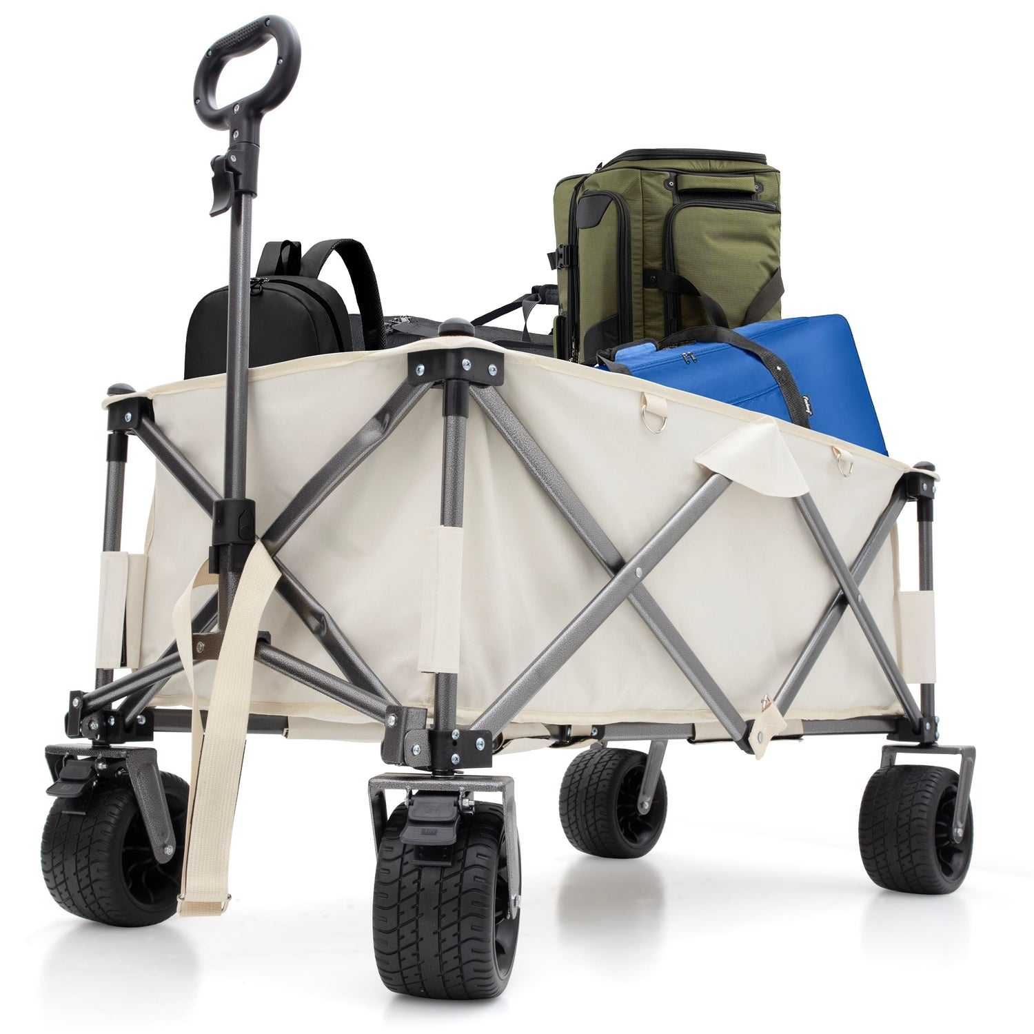 Carts & Bags