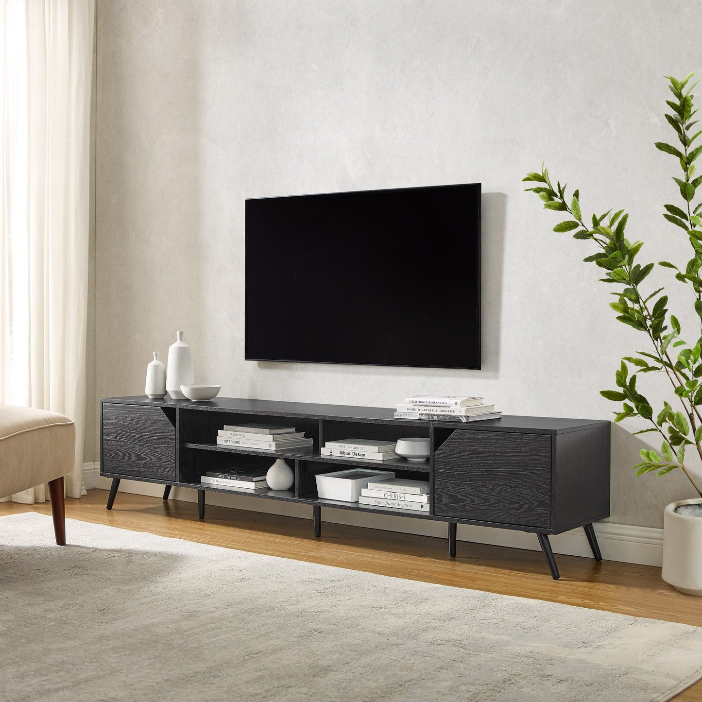 Contemporary 2 Door Minimalist TV Stand