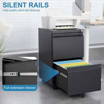 Office Storage Cabinet With 2 Drawers And Lock