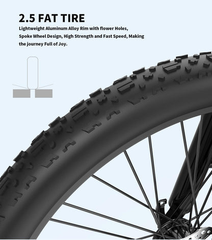 Electric Bicycle 500W Motor 26" Fat Tire With 48V / 15Ah Li - Battery S05 - Black