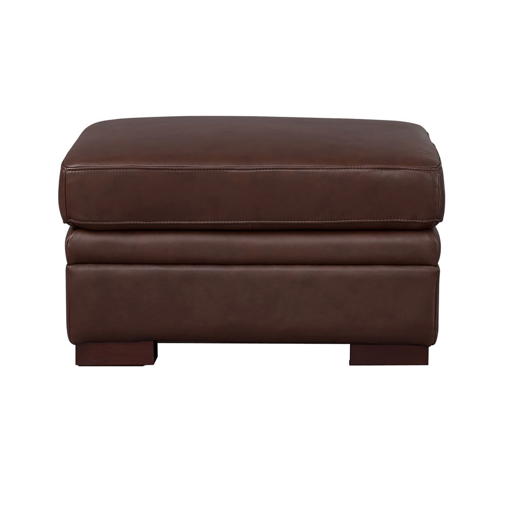 Dillon - Leather Ottoman